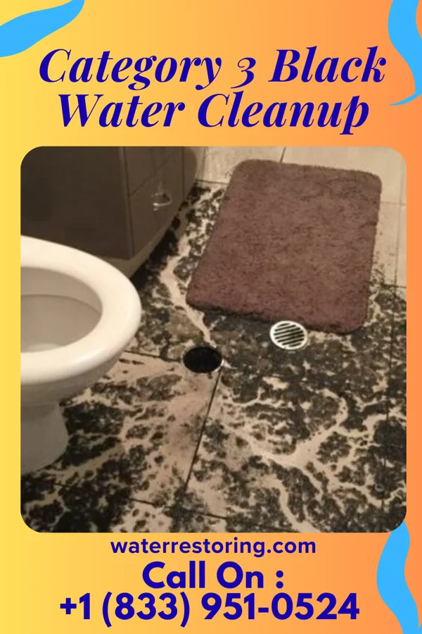 Category 3 Black Water Cleanup in Sedan, MT