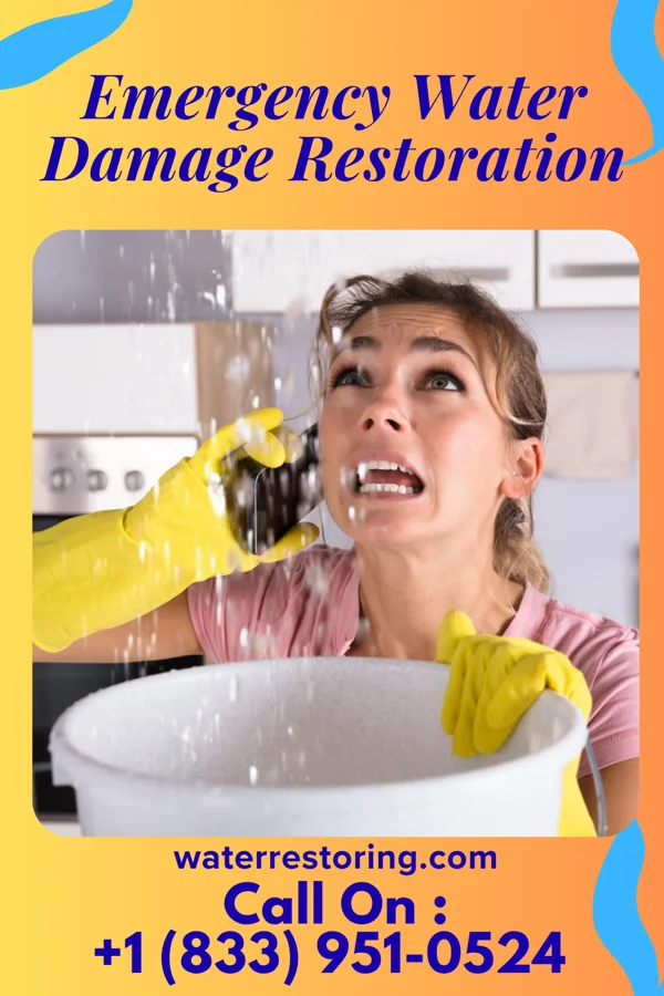 Emergency Water Damage Restoration in Sedan, MT